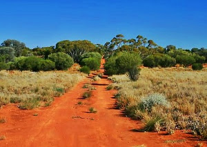 Great Victoria Desert