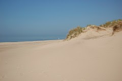 mcitydunes