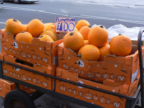 pumpkin.jpg