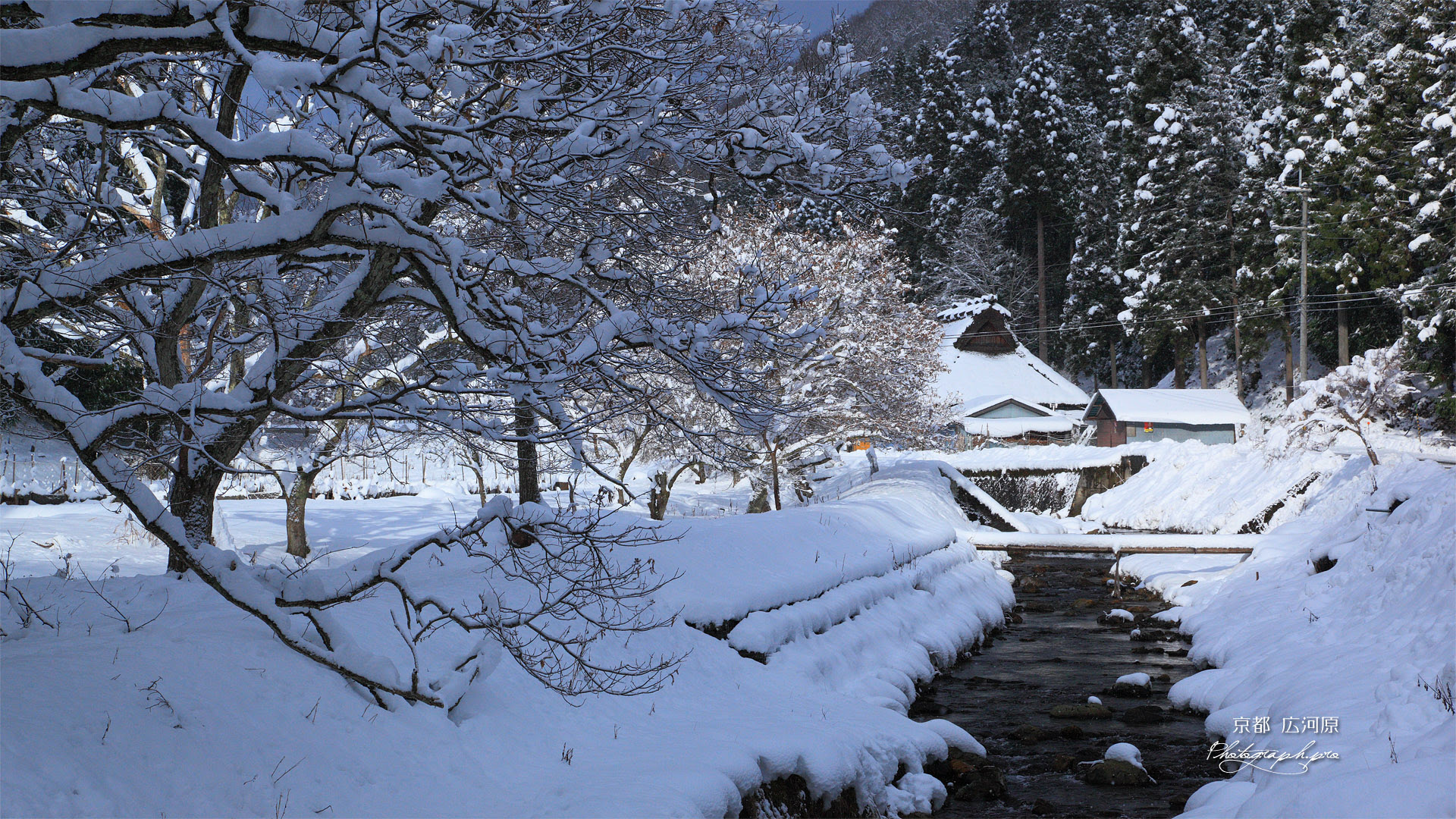 50 グレア 壁紙雪景色