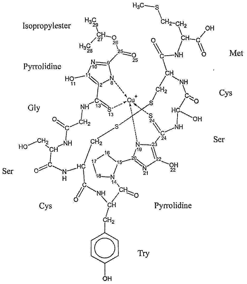 Figure imgf000031_0001