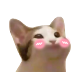 Popcat Meme - Pop Cat Matte Stickers weatherproof funny popcat internet ... : Meme, mario,doge,enderman,dump tump,randy orton,1randy orton ,randy orton rew down,popcat,idkman,pew die pie,anomaly 9000,666,ricardo milo,sponebob,slnderman,siren.