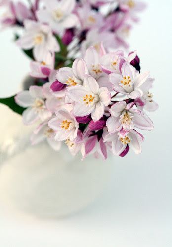 delicate pink