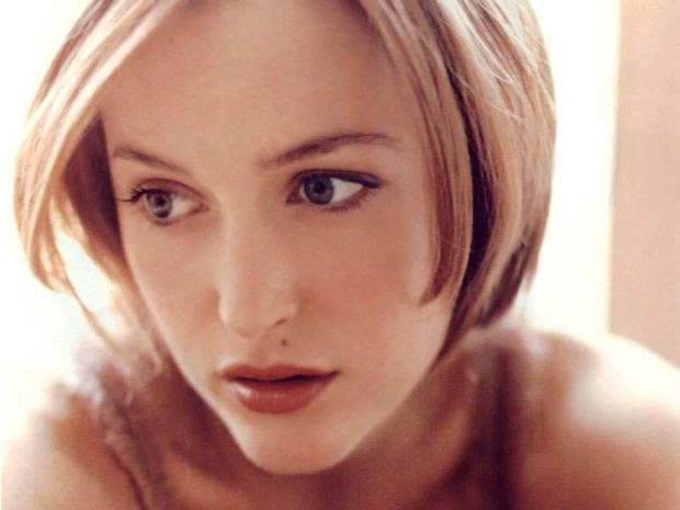 gillian anderson hot