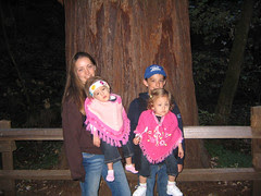 Muir Woods