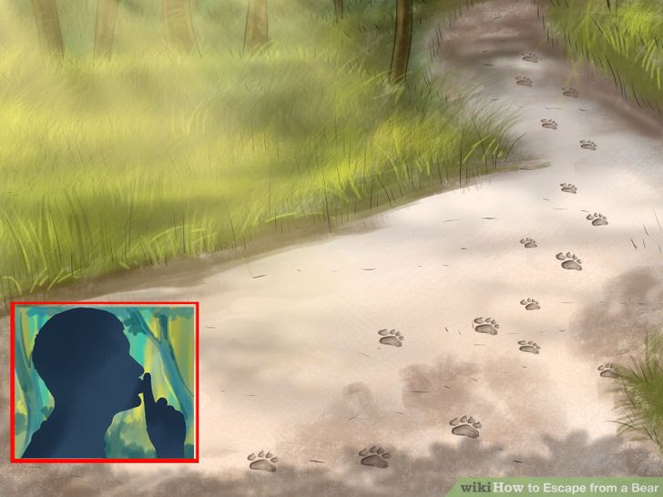 Escape from a Bear Step 3 Version 3.jpg