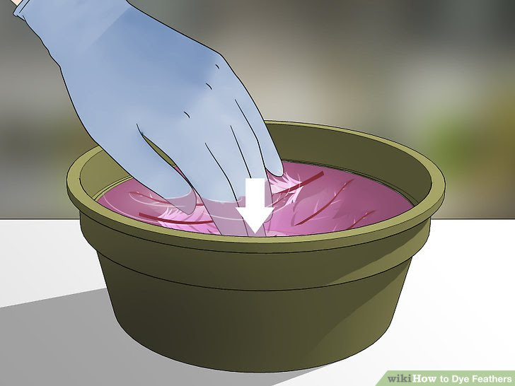 Dye Feathers Step 7.jpg