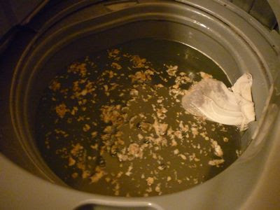 過炭酸ナトリウムで再度 洗濯機 洗濯槽を掃除してみた ぼにょ朗育児日記