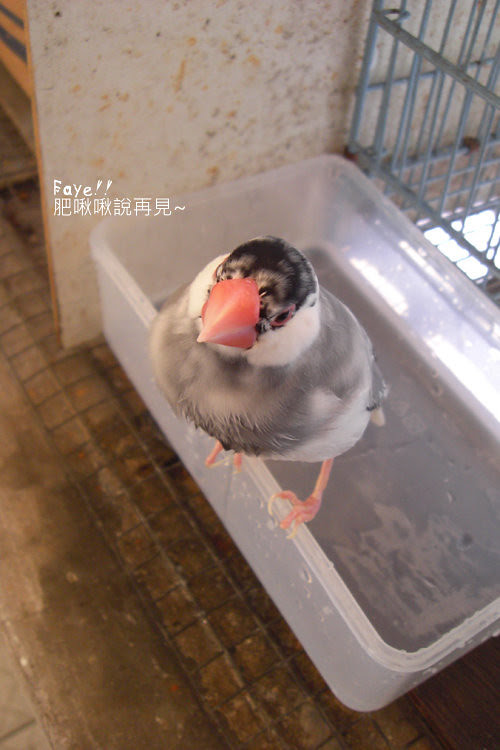 CIMG0848
