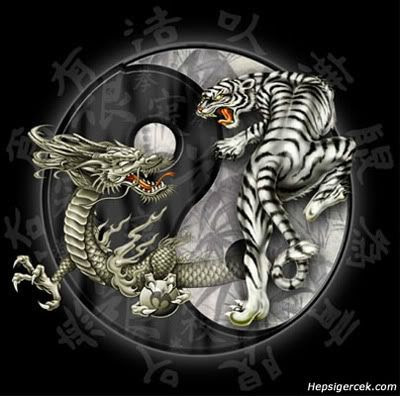 Ying Yang Tattoo 3D Design ying_yang7.jpg tattoo