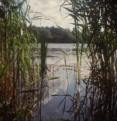 Syx-Twynty-Cymyry-Dyy