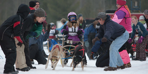 dog sled-3