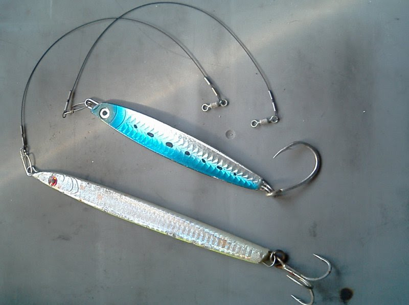 大型青物 サワラ