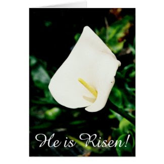 Easter Calla Lily Greeting Card