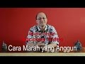 [Video] Cara Marah yang Anggun - Mario Teguh Success Video