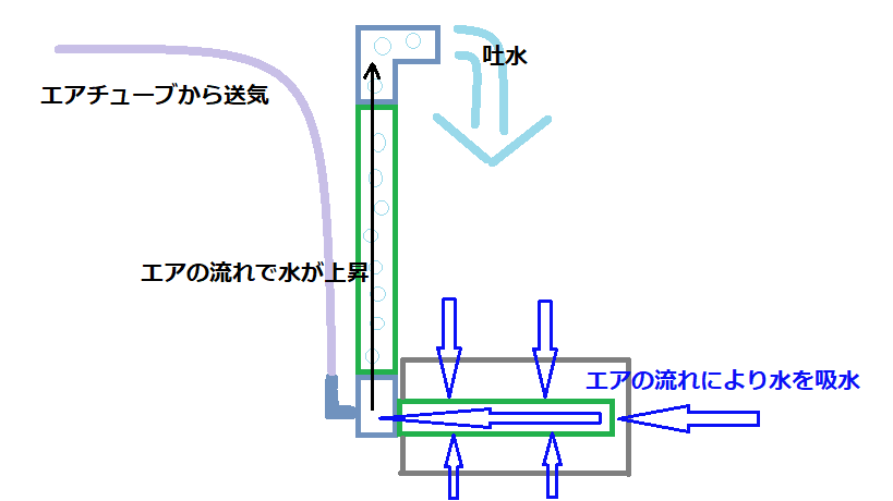 小型から大型水槽に使えるスポンジフィルターの濾過と特徴 クチコミも紹介