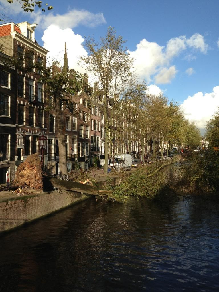  photo TheBelovedRoad-FallentreeovercanalinAmsterdamOctober2013_zps4c071084.jpg