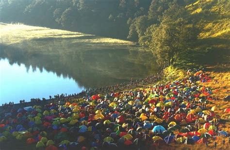 danau ranu kumbolo phinemo