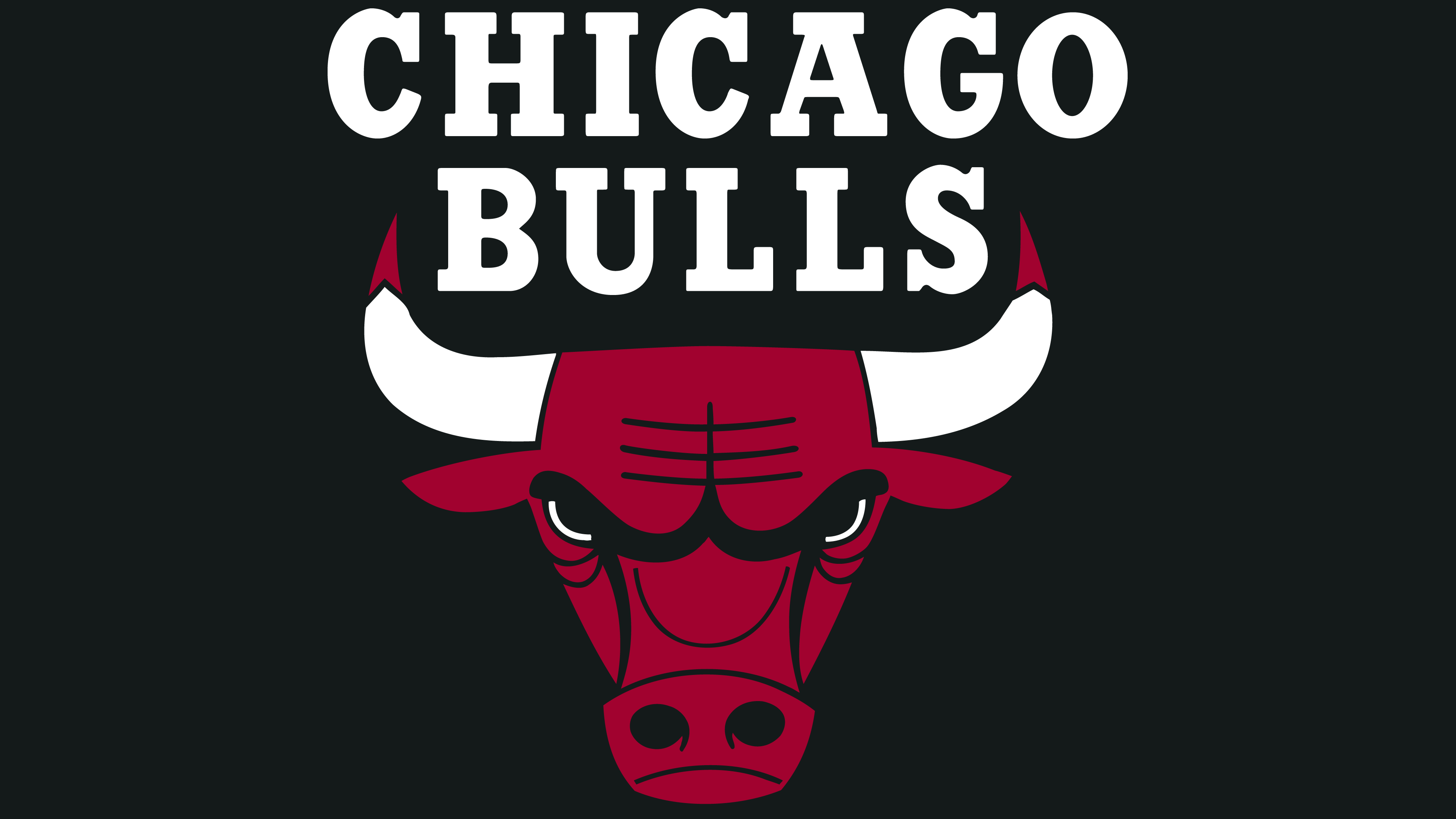 Download Chicago Bulls Vector at GetDrawings | Free download