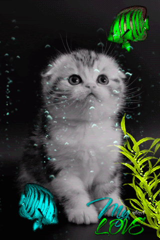http://img-fotki.yandex.ru/get/6740/222405017.114/0_d8577_a4501bc3_orig