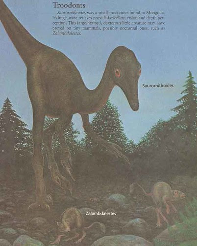 _Dinosaurs and Other Archosaurs_ p.65