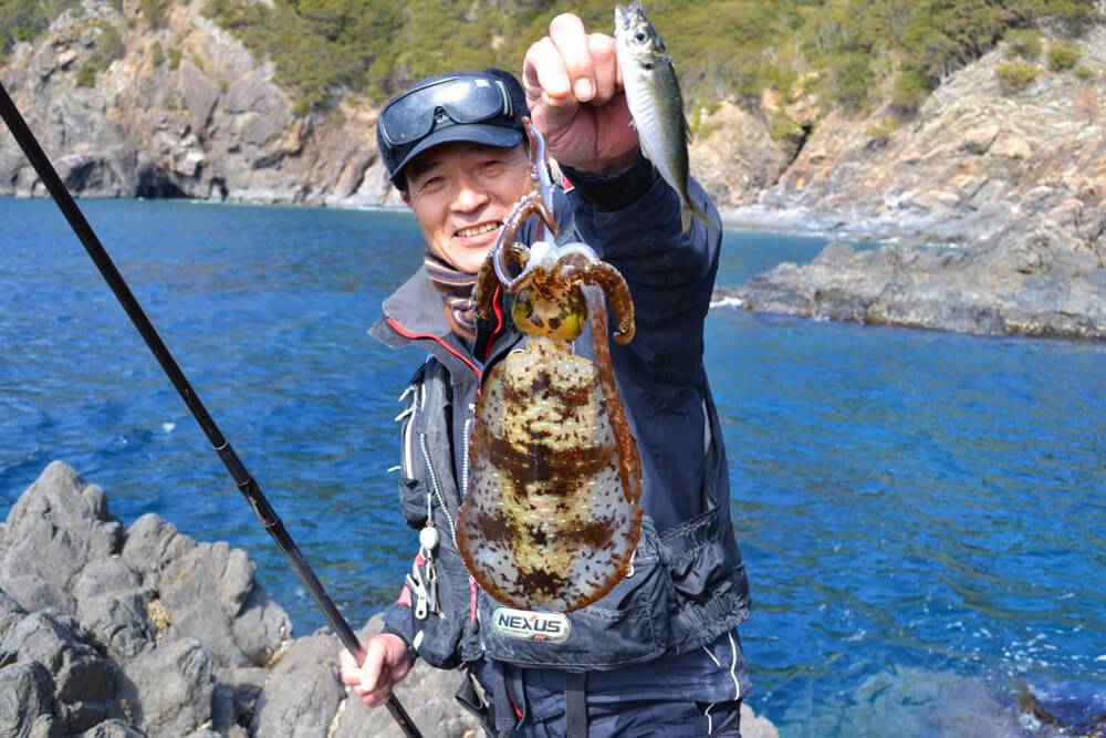アオリイカ 晩秋 初冬のウキ釣り講座 関西のつりweb 釣りの総合情報メディアmeme