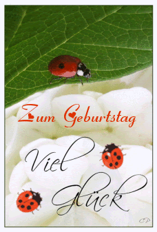 geburtstag textvorlage