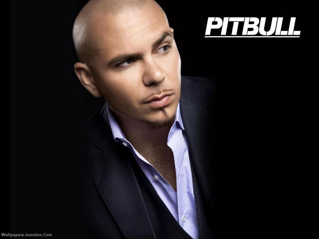 Pitbull Planet Pit 輸入盤 価格 木村モデルのブログ