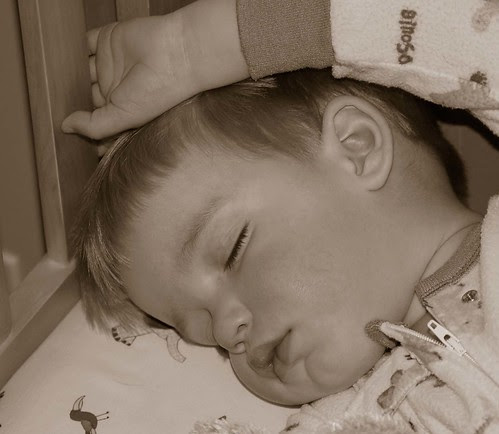 bennett sleeping - sepia, cropped