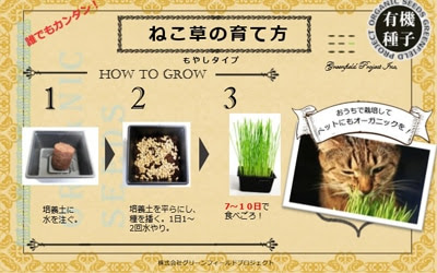 定期購入 にゃんのはな オーガニック猫草栽培キット