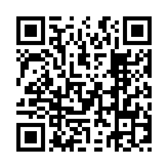Generador de Códigos QR Codes