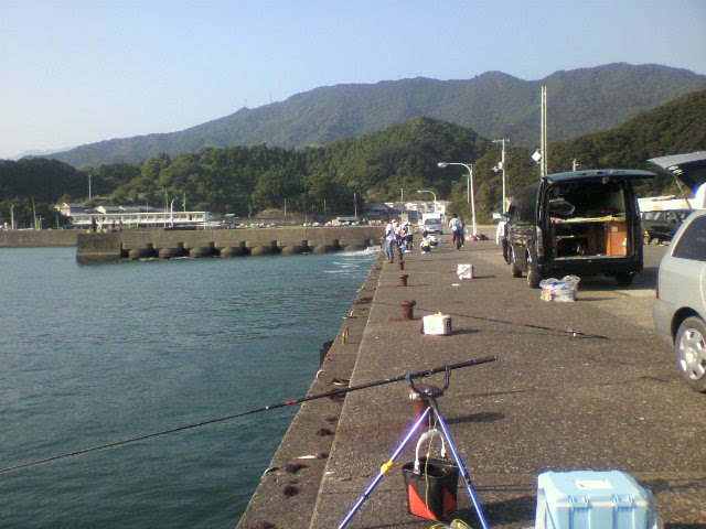 徳島県のアオリイカ釣り情報 西日本の四季と遊び
