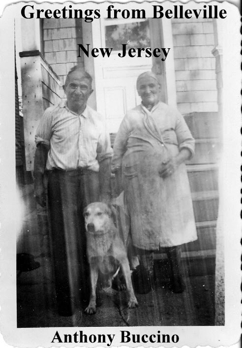 Greetings From Belleville, N.J.