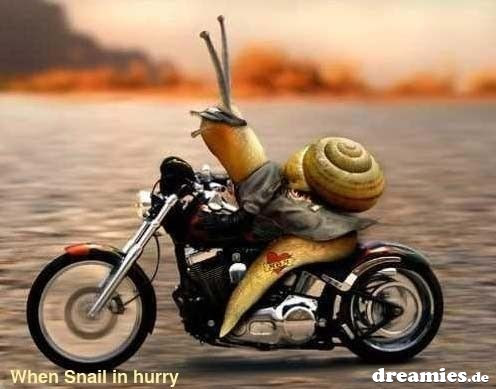 alles guten zum geburtstag