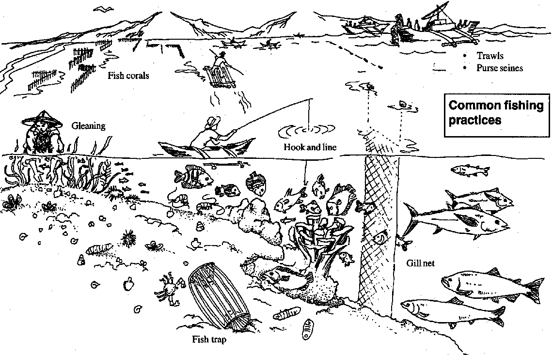 Free Food Web Coloring Pages Download Free Clip Art Free Clip