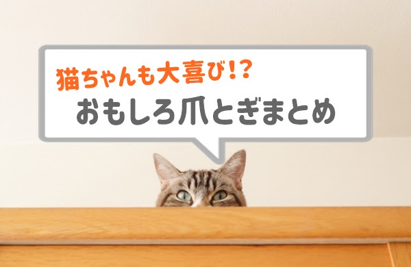 猫ちゃんも大喜び ユニークで面白い爪とぎまとめ 通販で購入可 人生は暇つぶし