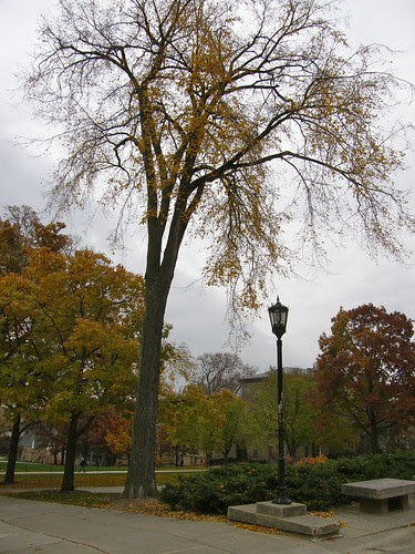 PA290001