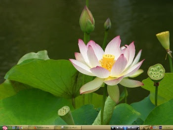 image host