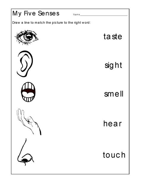  kindergarten worksheets kindergarten worksheets the 5 senses worksheets