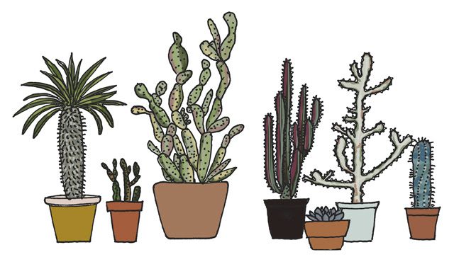Prickly doodles