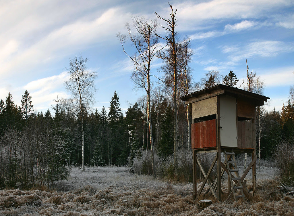 The Hunting Blind