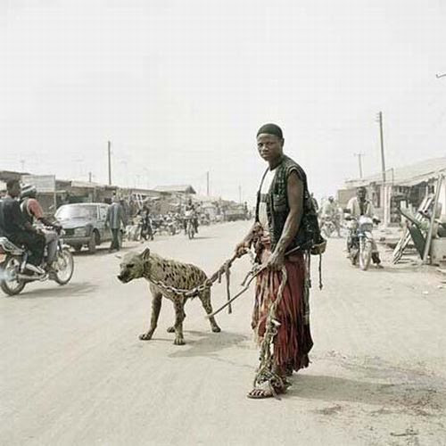 African 
Pets (33 pics)