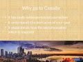 The Most Desirable Immigration Consultants in Delhi