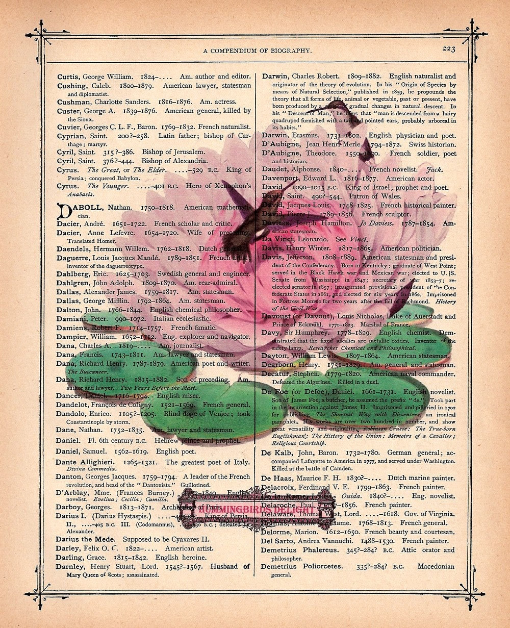 HUMMINGBIRD LILY PAD PRINT on a Vintage 1890 Book Page FREE SHIPPING WORLDWIDE
