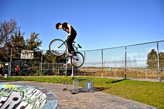 Shopping Cart Air