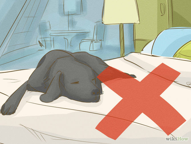 Sleep When You Are Not Tired Step 26 Version 2.jpg