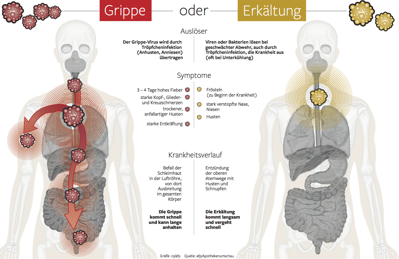 Grippe Oder Erkaltung Das Sind Die Unterschiede Berliner Morgenpost