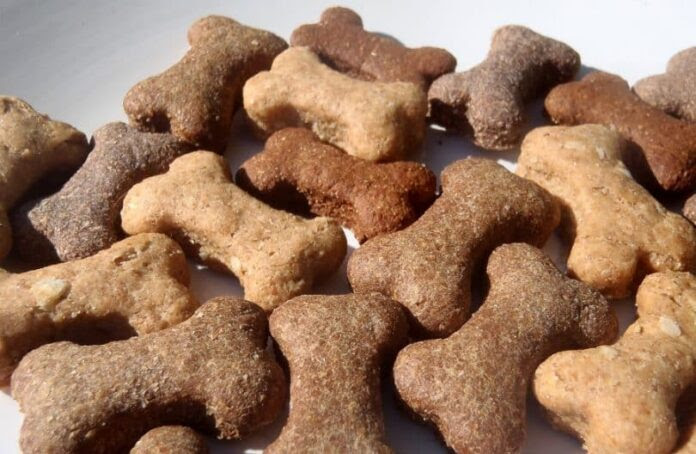 diabetic dog treats