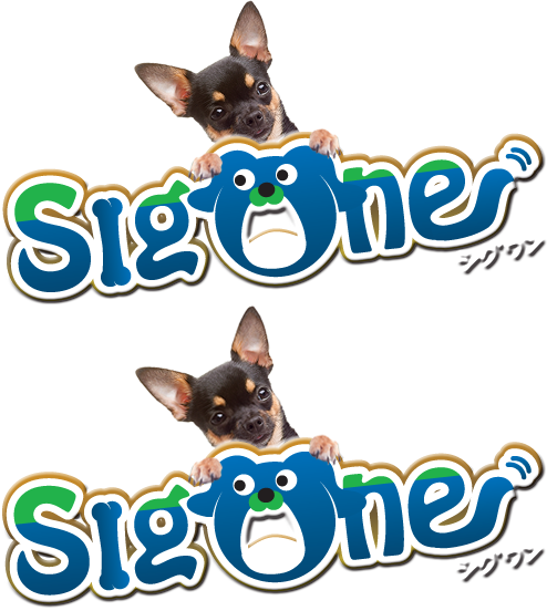 犬用歯磨き粉ゼオライトハミガキ ペット用歯ブラシ業界 1 ビバテック