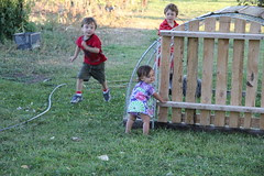 Jovie by the bunny cage
